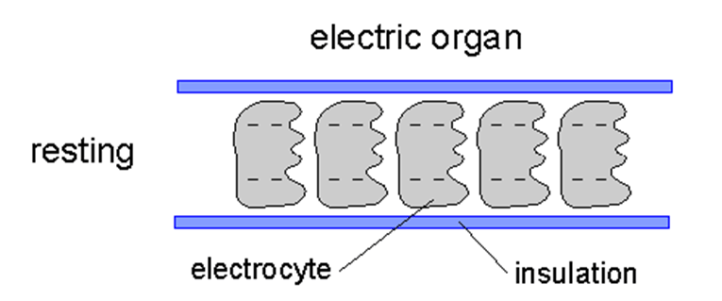 JamesA-Xenobiology-Silence-diagram1