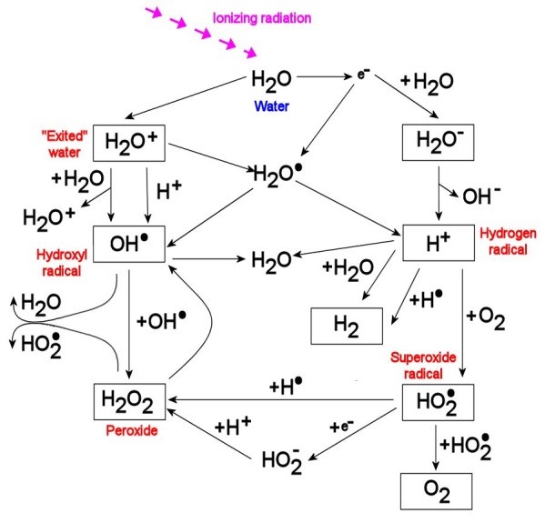JamesA-Xenobiology-Daleks-freeradicals