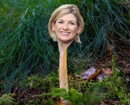 jodiemushroom